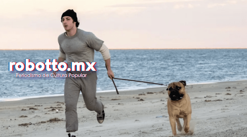 I Play Rocky 
