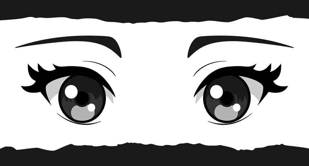 coleccionar mangas