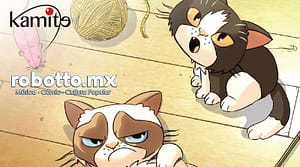 Grumpy Cat y Pokey