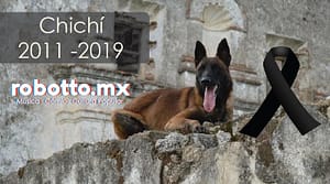 Chichí