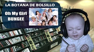 Oh My Girl, BUNGEE La Botana de Bolsillo.