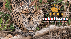 jaguar