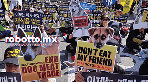 carne de perro