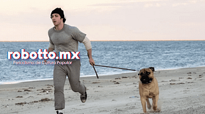 I Play Rocky 