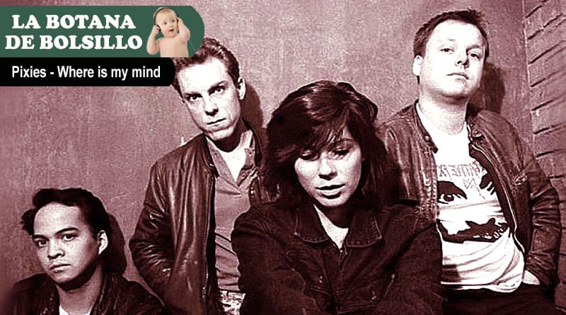 Robotto.mx Where is my mind