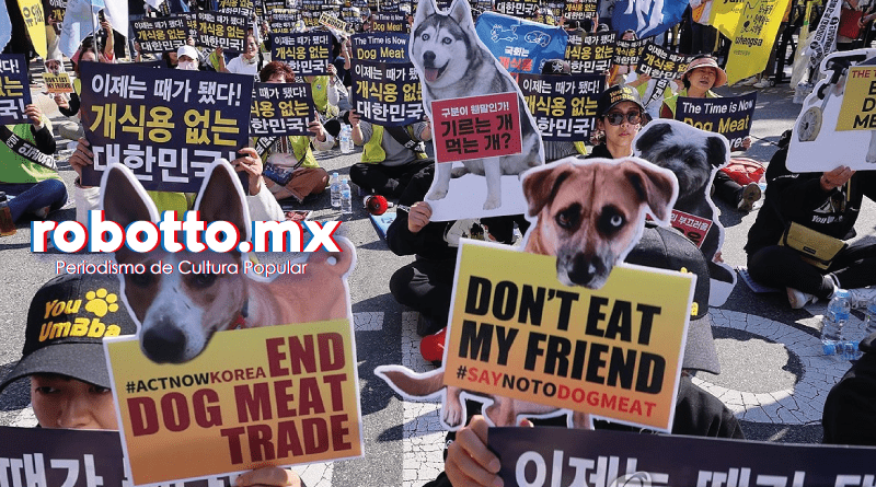 carne de perro