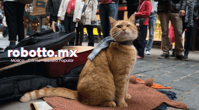 Bob el gato