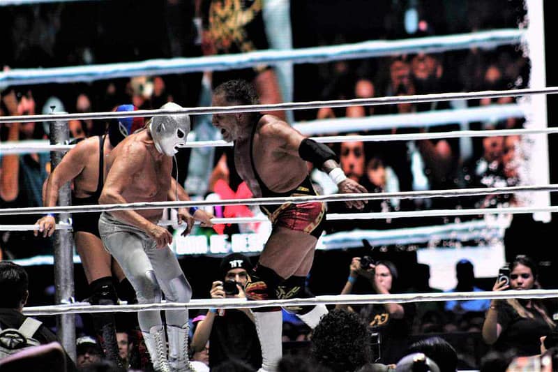 Hijo del Santo