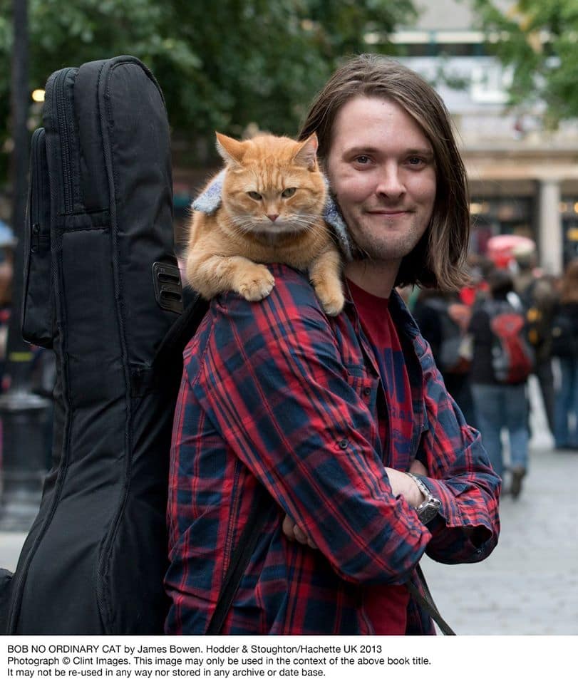 Bob El Gato y James Bowen