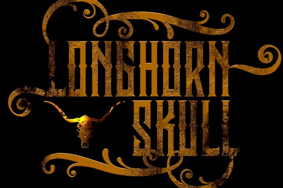 LongHorn Skull