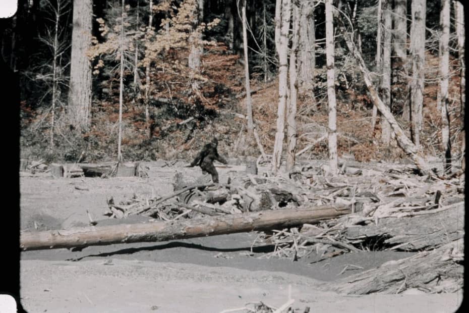 Bigfoot