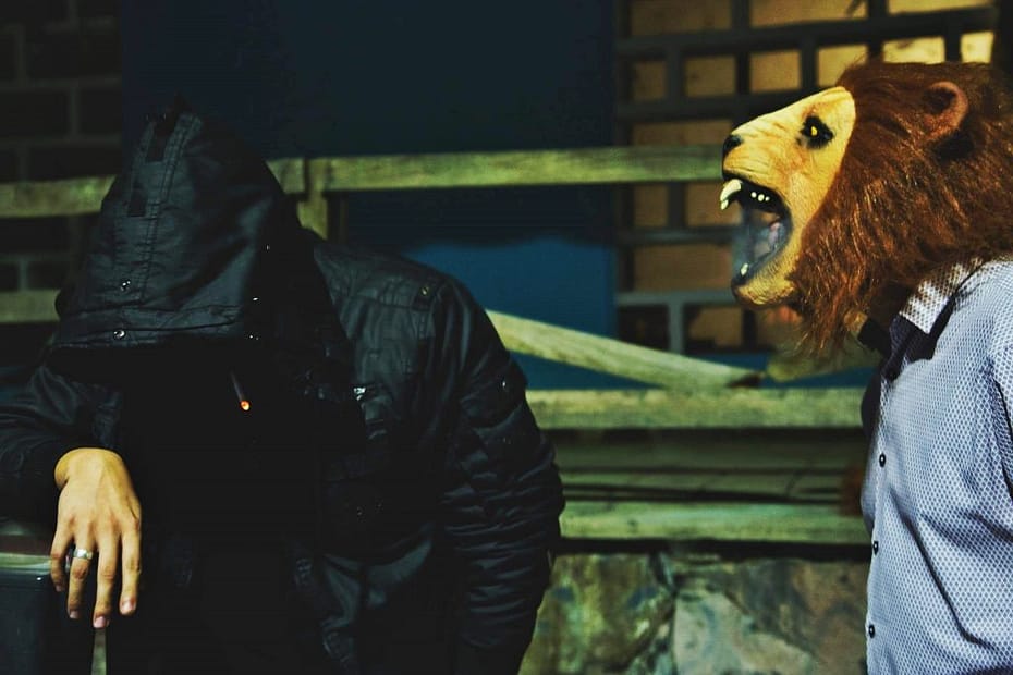 2 Lions
