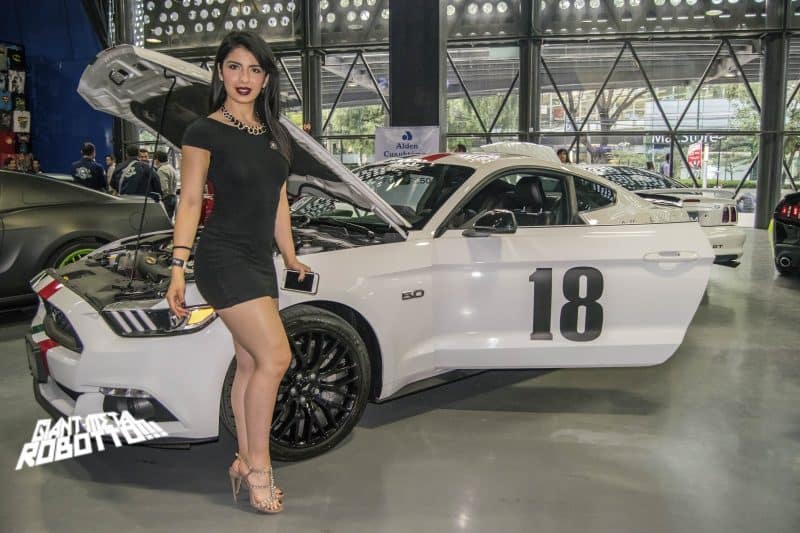 Una exposición con “Juguetes” para grandes con espíritu de niño