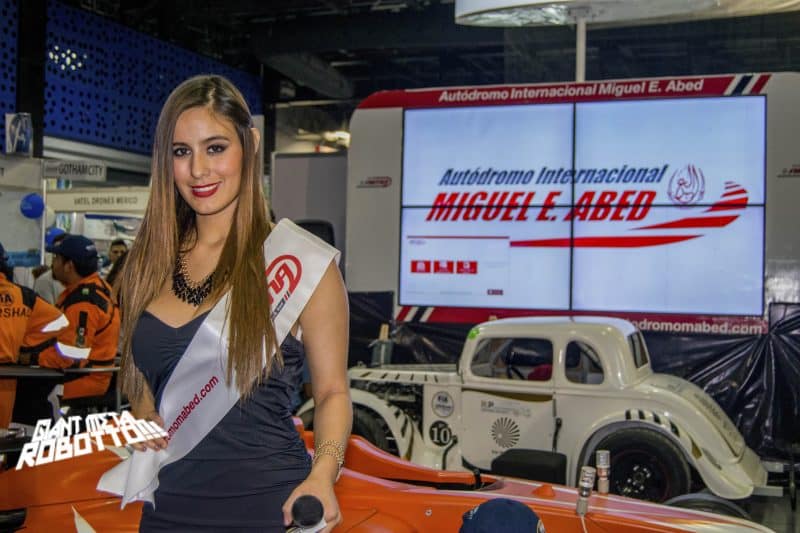 Una exposición con “Juguetes” para grandes con espíritu de niño